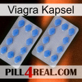 Viagra Capsule 20
